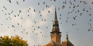 Stipendije za studente iz Subotice
