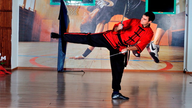 slika 1 wing