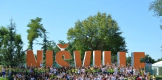 Nišville festival poziv za volontere