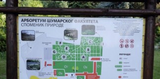 Šumarski fakultet krije zelenu oazu