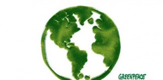 Praksa u Greenpeace Internationalu