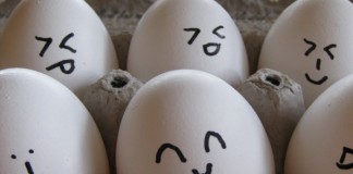 Da li vaš budući posao odgovara vašoj ličnosti?
