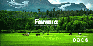 Farmia traži praktikanta za digitalni marketing