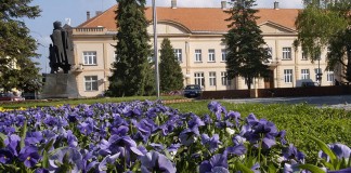 Inđija: Konkurs za dodelu studentskih stipendija