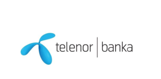 Internal Auditor Internship – Telenor Banka